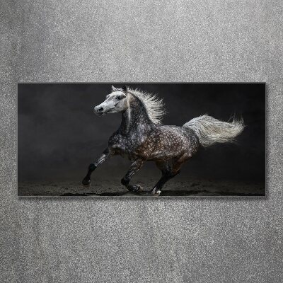 Tableau en acrylique Cheval arabe gris