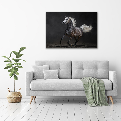 Tableau en acrylique Cheval arabe gris