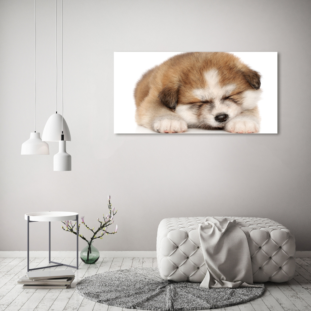 Acrylique tableau Chiot Akita