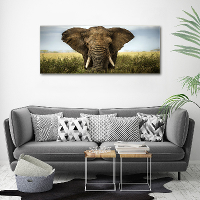 Tableau verre acrylique Eléphant dans la savane