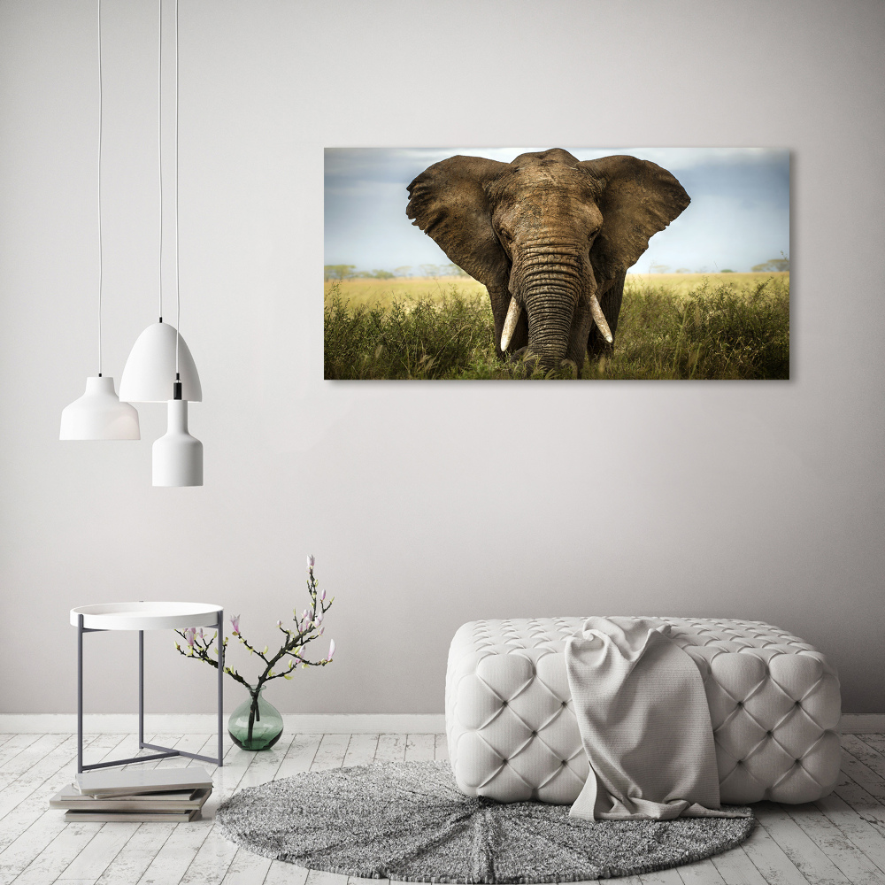 Tableau verre acrylique Eléphant dans la savane