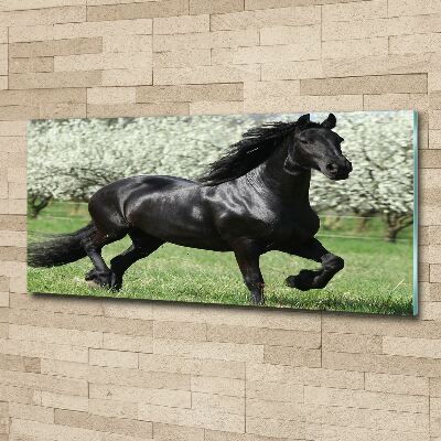 Acrylique tableau Cheval noir en fleurs