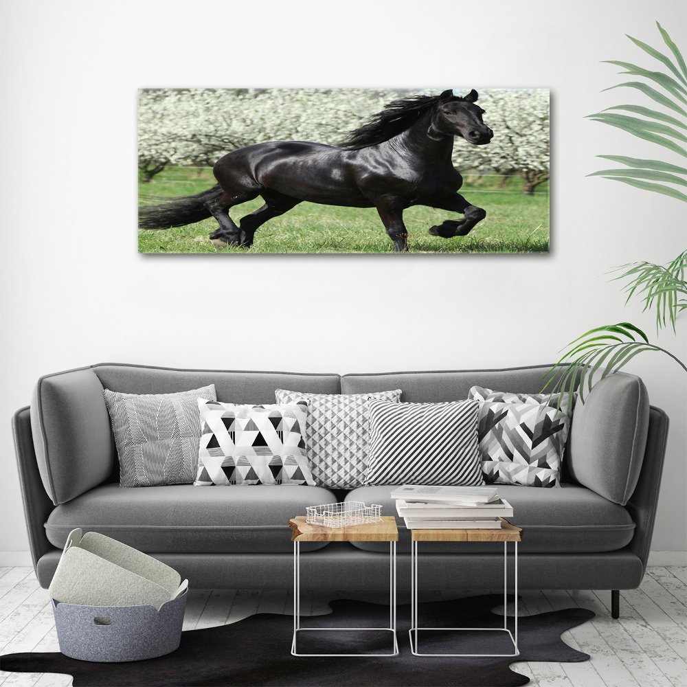 Acrylique tableau Cheval noir en fleurs