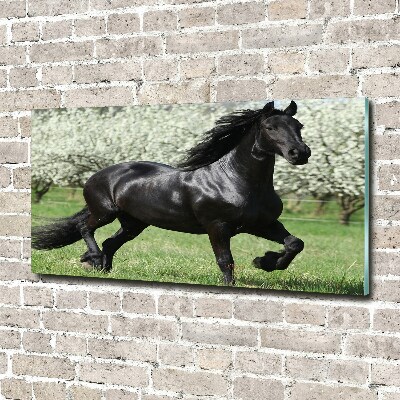 Acrylique tableau Cheval noir en fleurs