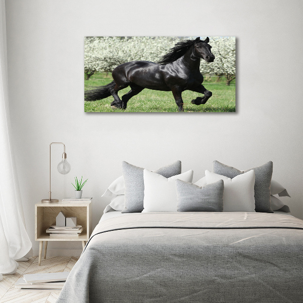 Acrylique tableau Cheval noir en fleurs