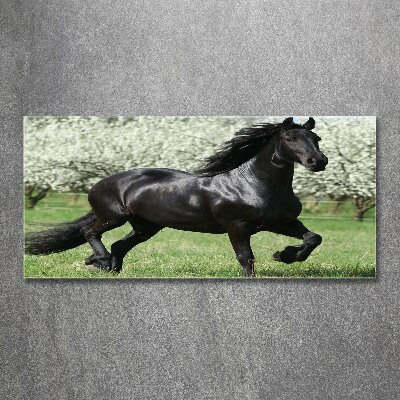 Acrylique tableau Cheval noir en fleurs