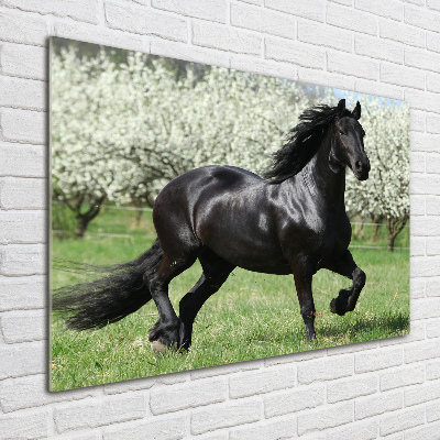 Acrylique tableau Cheval noir en fleurs