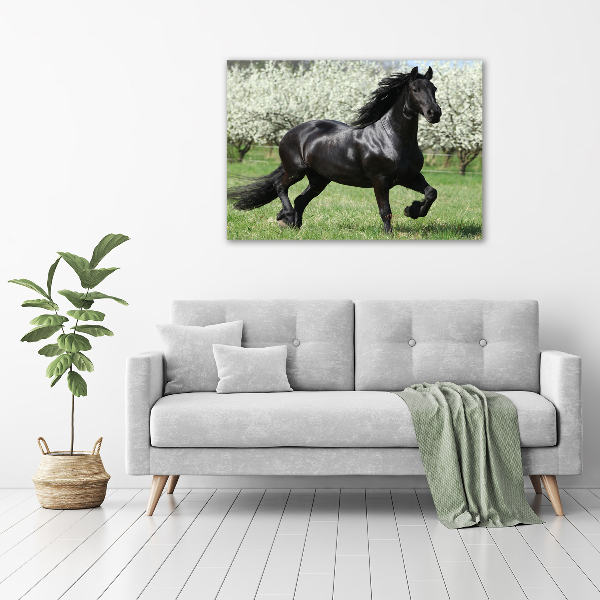 Acrylique tableau Cheval noir en fleurs