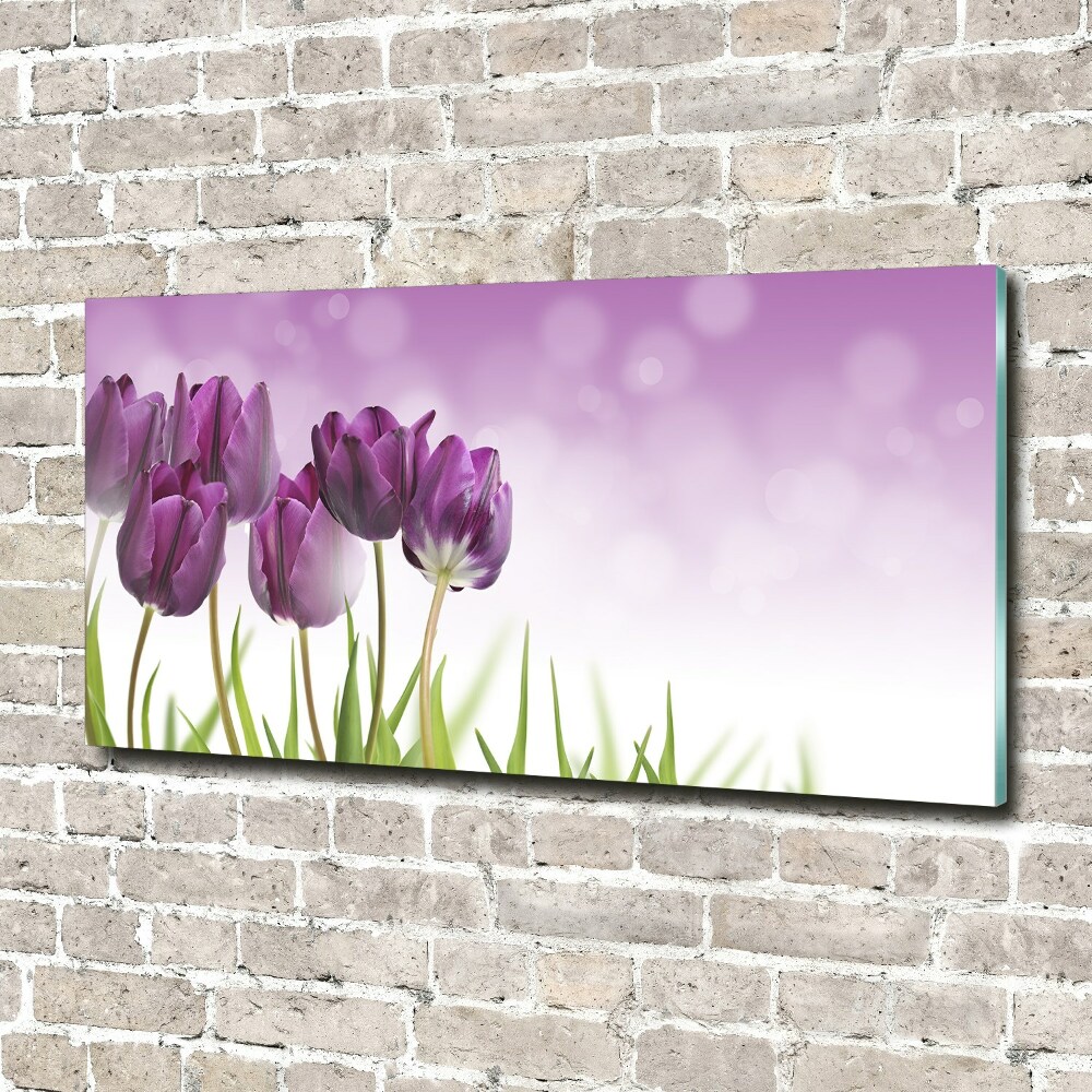 Tableau en acrylique Tulipes en filets