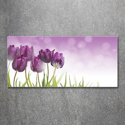 Tableau en acrylique Tulipes en filets