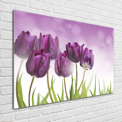 Tableau en acrylique Tulipes en filets