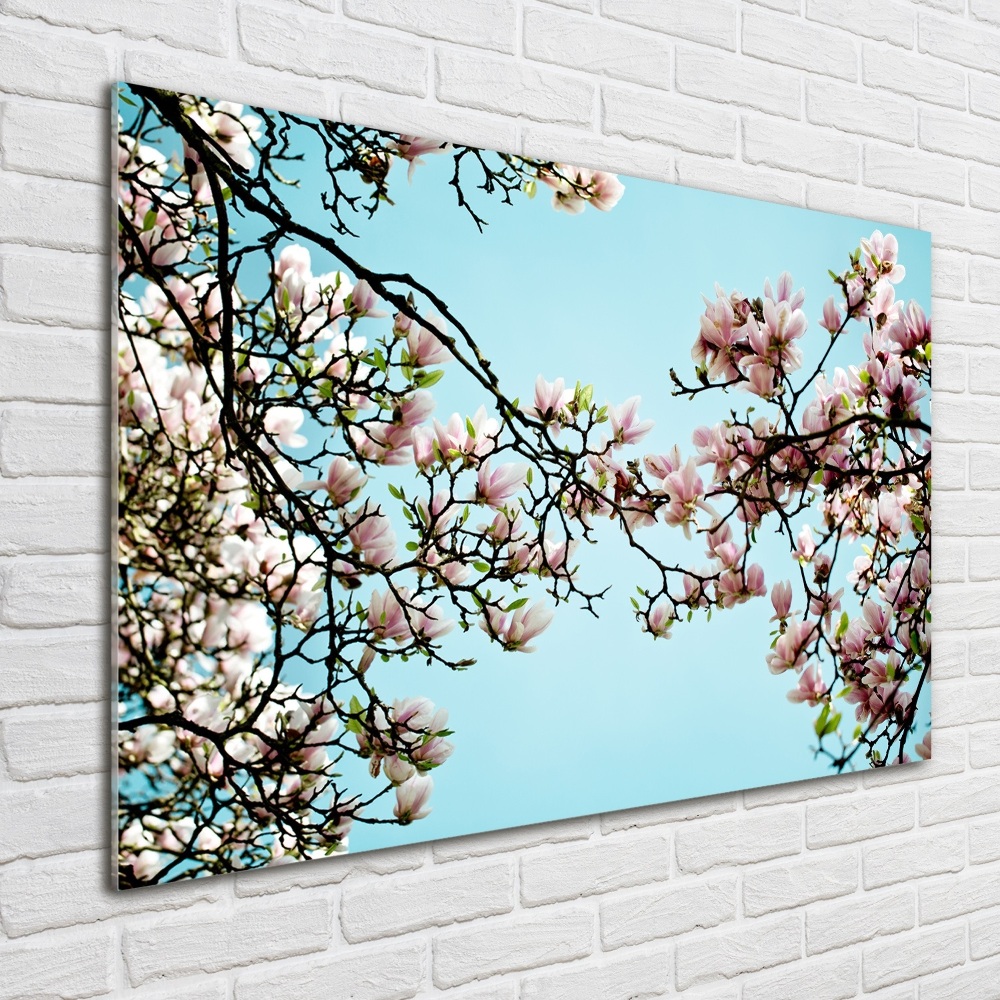 Acrylique tableau Fleurs de magnolia