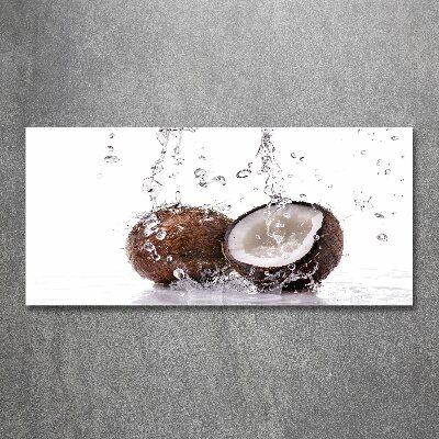 Tableau verre acrylique Noix de coco et eau