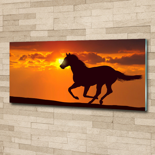 Tableau verre acrylique Cheval au coucher du soleil