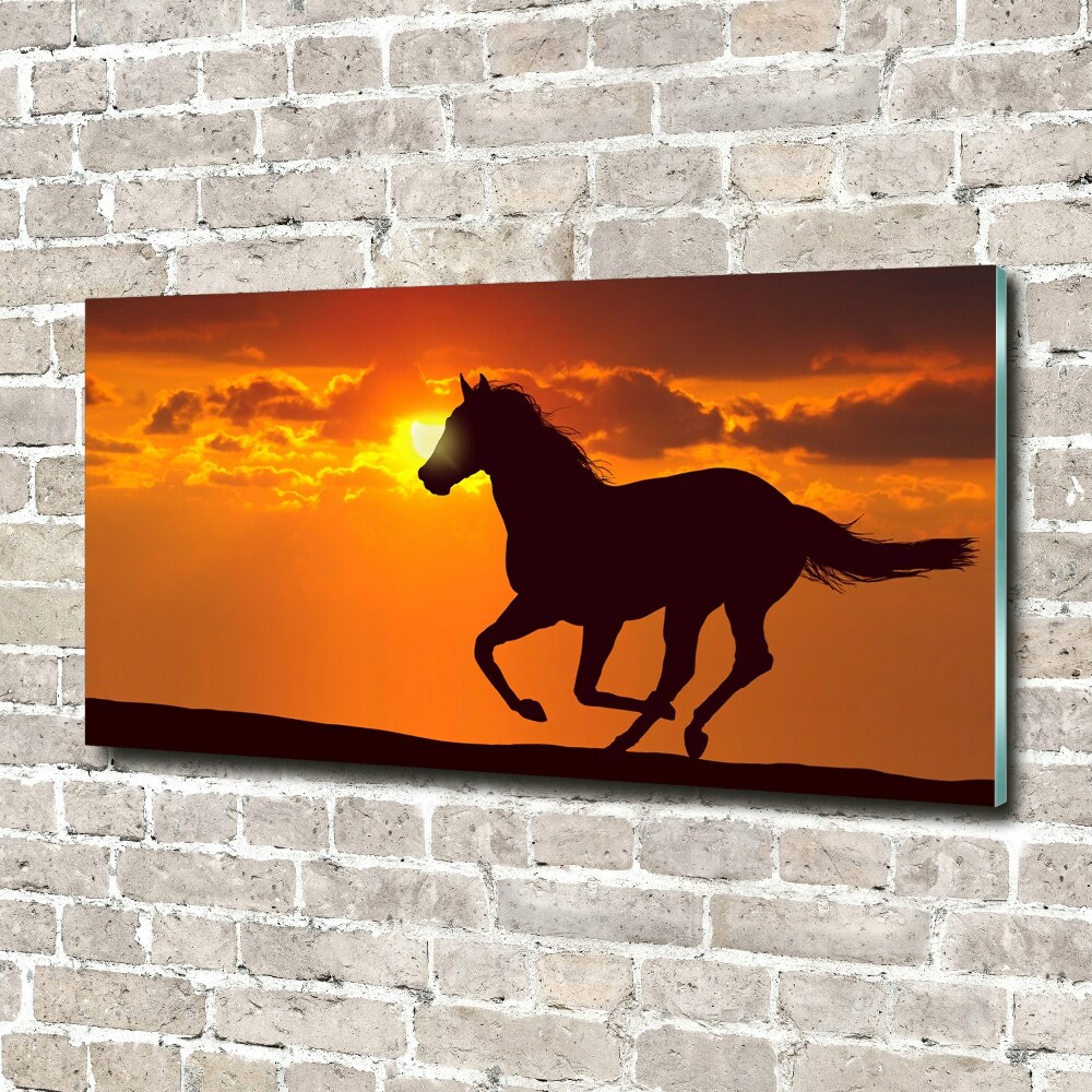 Tableau verre acrylique Cheval au coucher du soleil