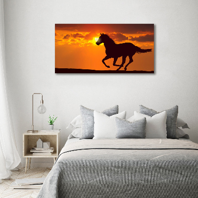 Tableau verre acrylique Cheval au coucher du soleil