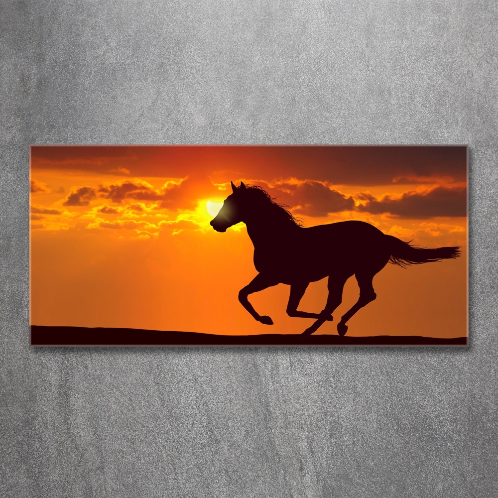 Tableau verre acrylique Cheval au coucher du soleil