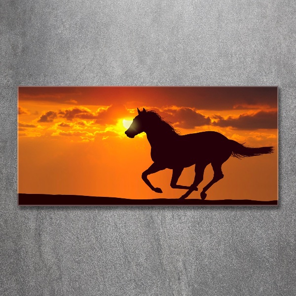 Tableau verre acrylique Cheval au coucher du soleil