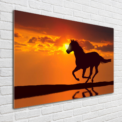 Tableau verre acrylique Cheval au coucher du soleil