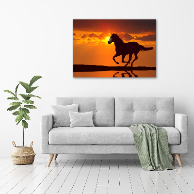 Tableau verre acrylique Cheval au coucher du soleil