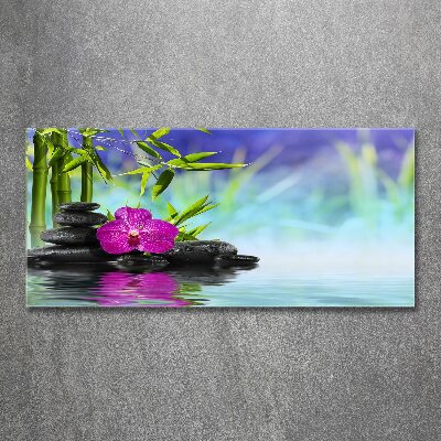 Tableau sur verre acrylique Orchidée bambou