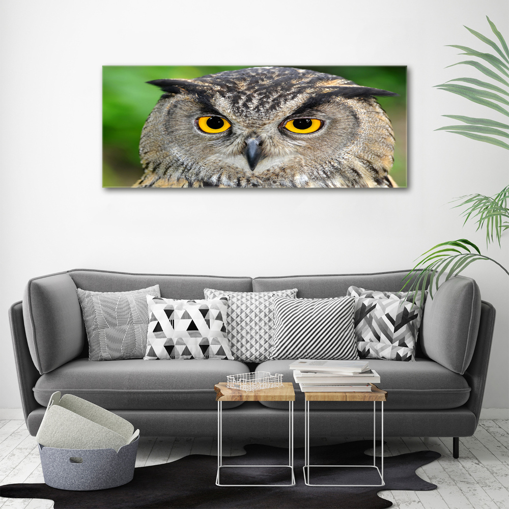 Tableau sur verre acrylique Hibou