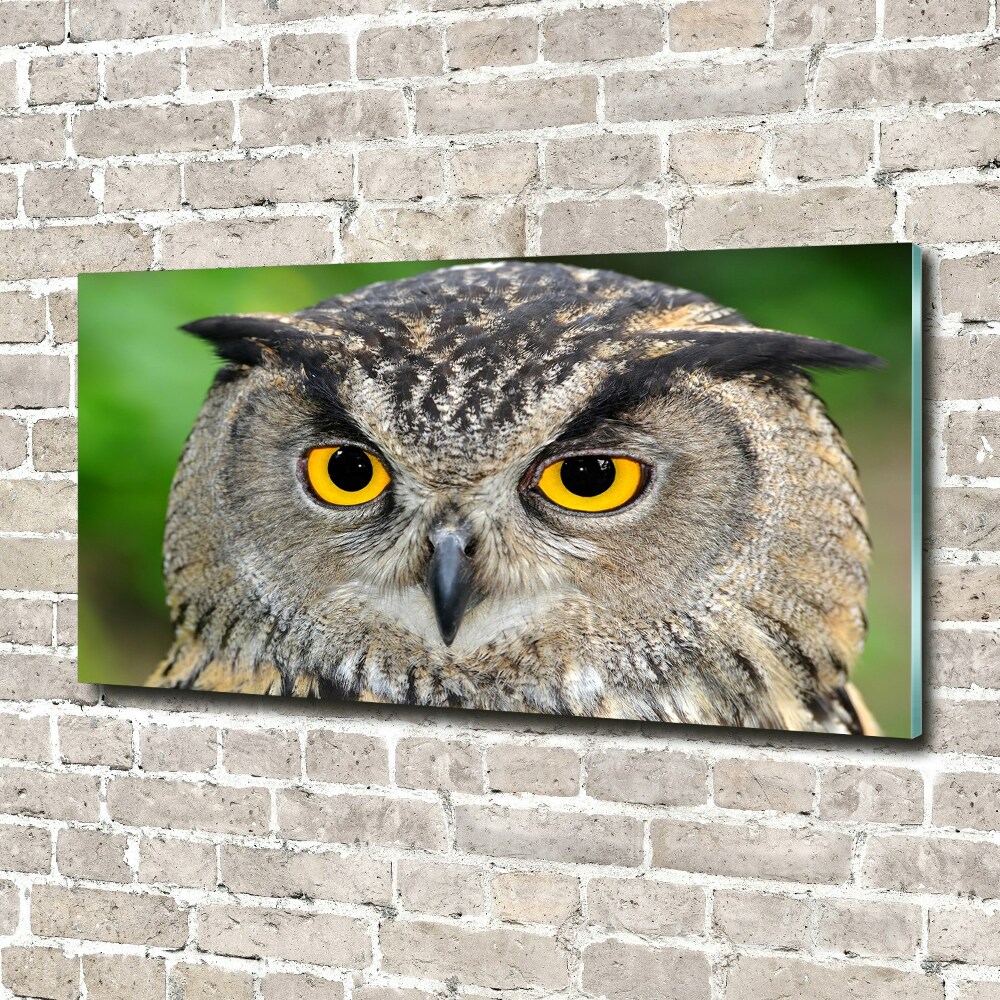 Tableau sur verre acrylique Hibou