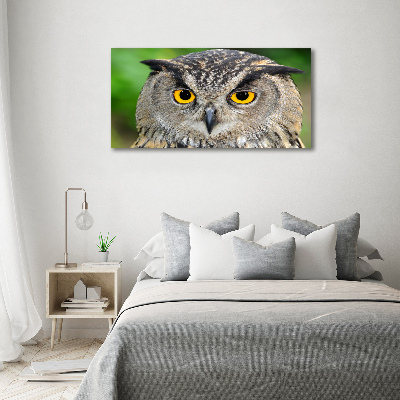 Tableau sur verre acrylique Hibou