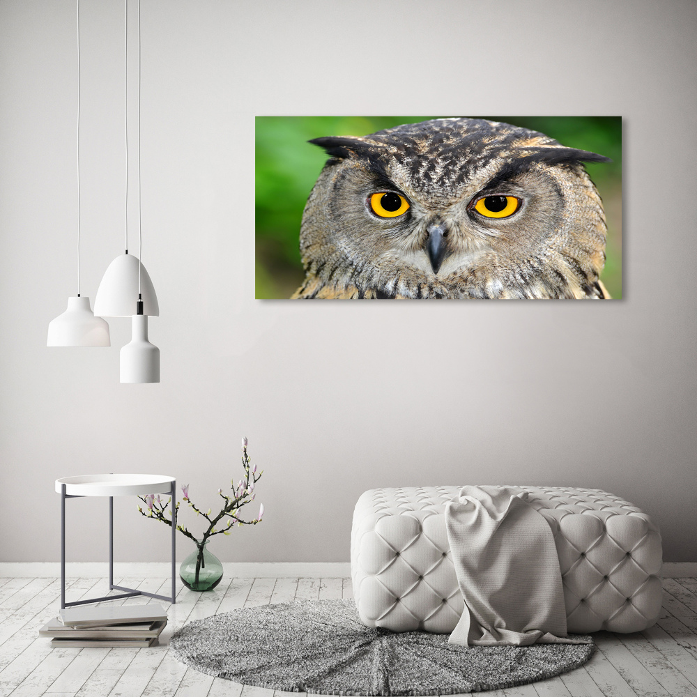 Tableau sur verre acrylique Hibou