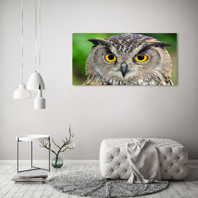 Tableau sur verre acrylique Hibou