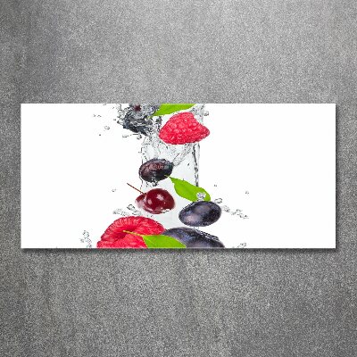 Tableau verre acrylique Fruits et eau