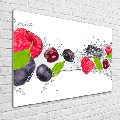 Tableau verre acrylique Fruits et eau