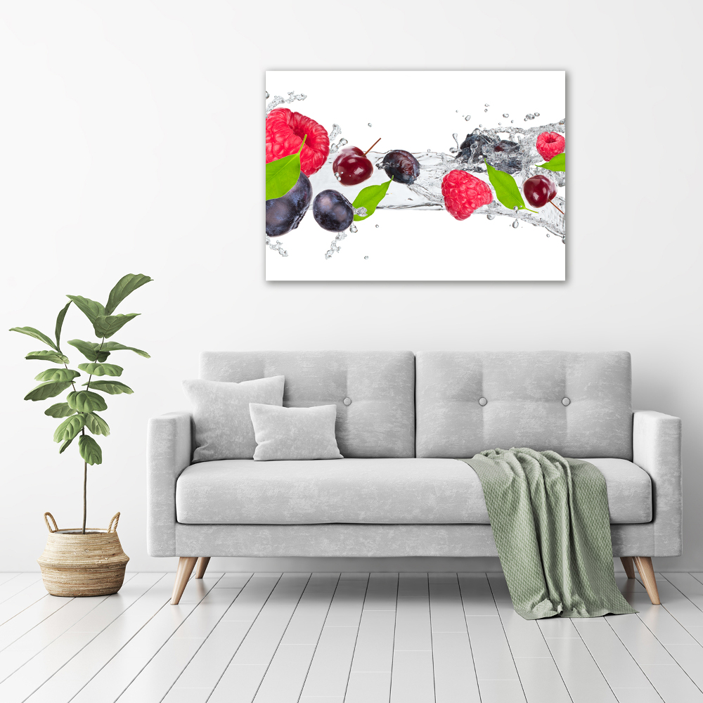 Tableau verre acrylique Fruits et eau