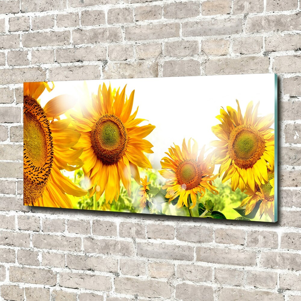 Tableau verre acrylique Tournesol