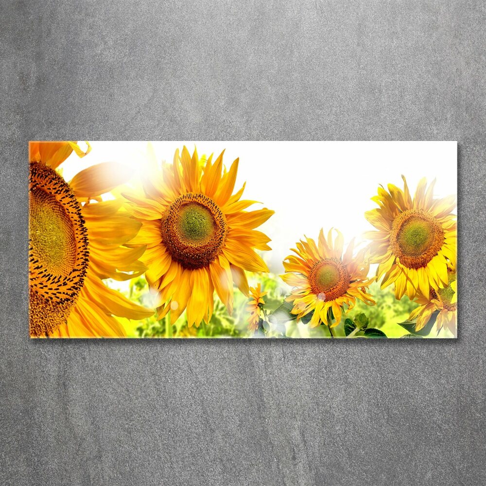 Tableau verre acrylique Tournesol