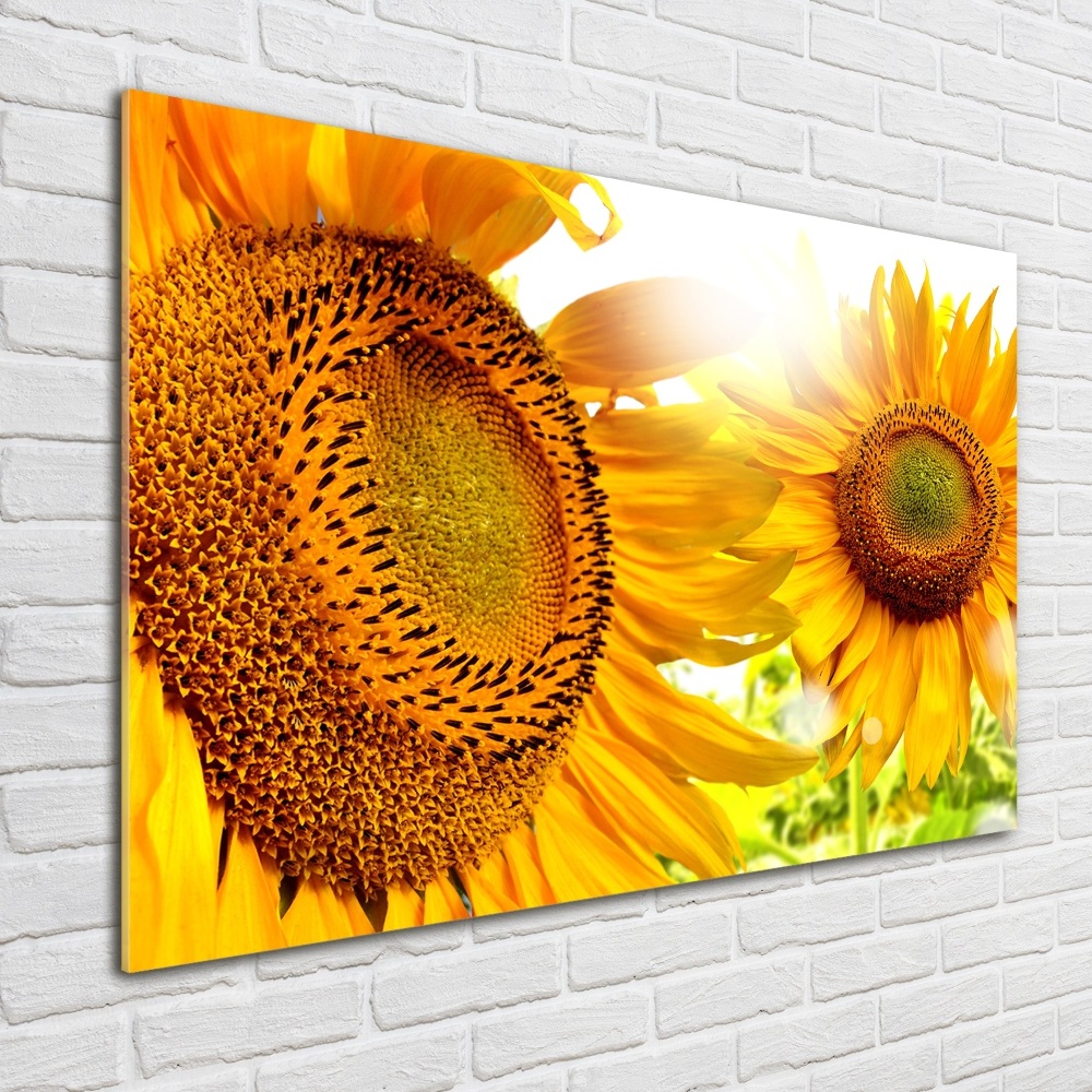 Tableau verre acrylique Tournesol