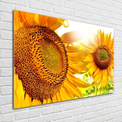 Tableau verre acrylique Tournesol