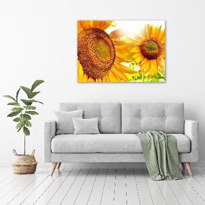 Tableau verre acrylique Tournesol