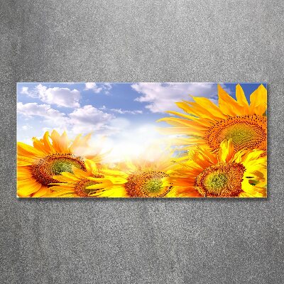 Tableau sur verre acrylique Tournesol