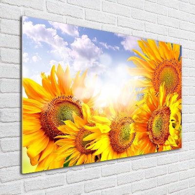 Tableau sur verre acrylique Tournesol