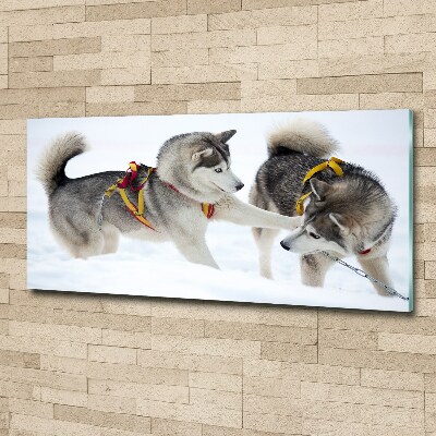 Acrylique tableau Husky en hiver