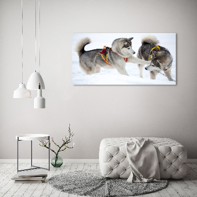 Acrylique tableau Husky en hiver