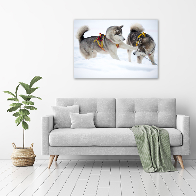 Acrylique tableau Husky en hiver