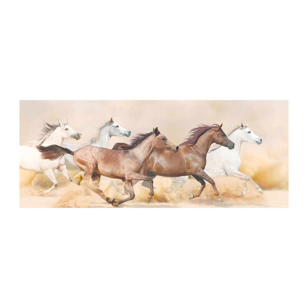 Tableau sur verre acrylique Chevaux au galop