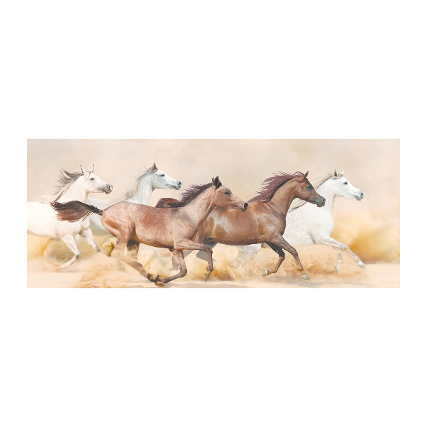 Tableau sur verre acrylique Chevaux au galop