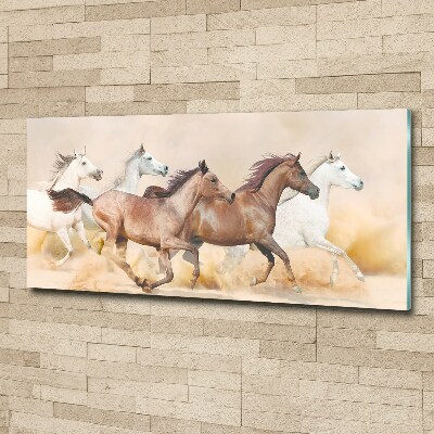 Tableau sur verre acrylique Chevaux au galop