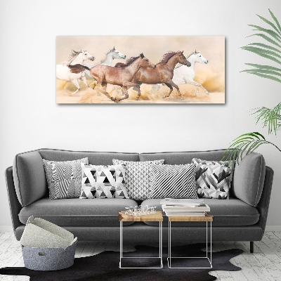 Tableau sur verre acrylique Chevaux au galop