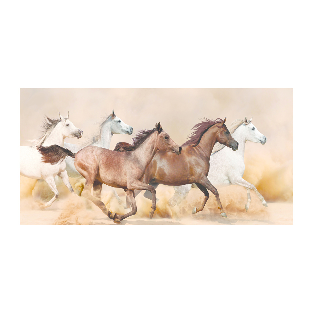 Tableau sur verre acrylique Chevaux au galop