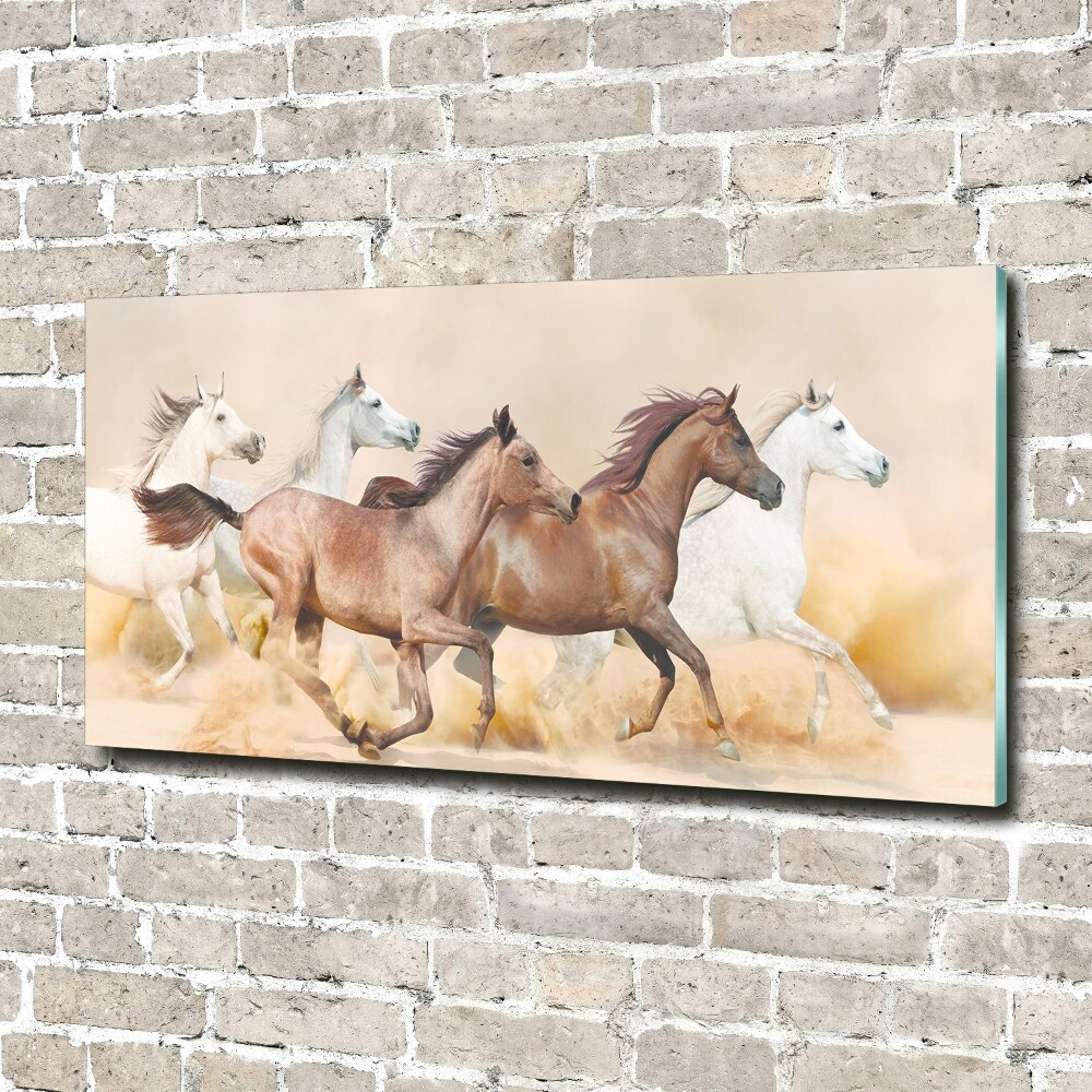 Tableau sur verre acrylique Chevaux au galop