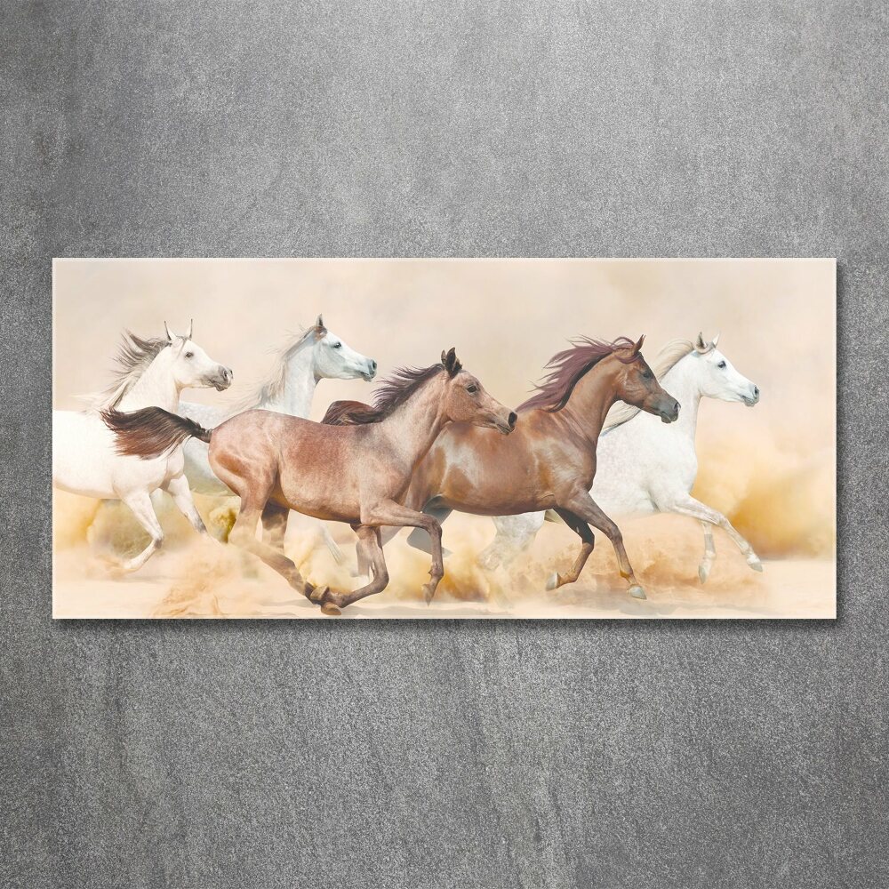 Tableau sur verre acrylique Chevaux au galop